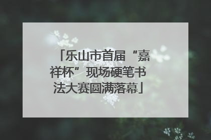 乐山市首届“嘉祥杯”现场硬笔书法大赛圆满落幕