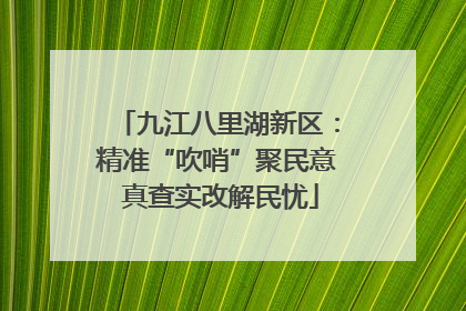 九江八里湖新区：精准“吹哨”聚民意 真查实改解民忧
