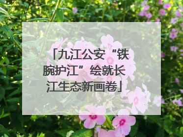 九江公安“铁腕护江”绘就长江生态新画卷