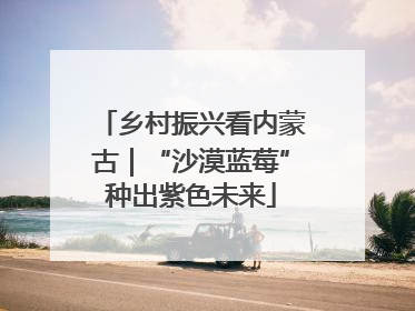 乡村振兴看内蒙古｜“沙漠蓝莓”种出紫色未来