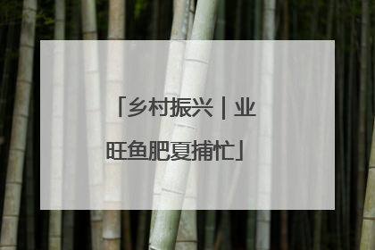 乡村振兴｜业旺鱼肥夏捕忙