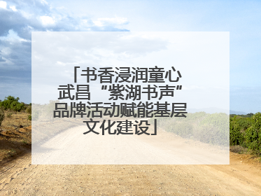 书香浸润童心 武昌“紫湖书声”品牌活动赋能基层文化建设