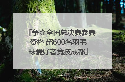 争夺全国总决赛参赛资格 超600名羽毛球爱好者竞技成都