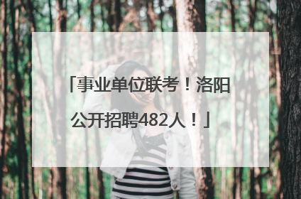 事业单位联考！洛阳公开招聘482人！