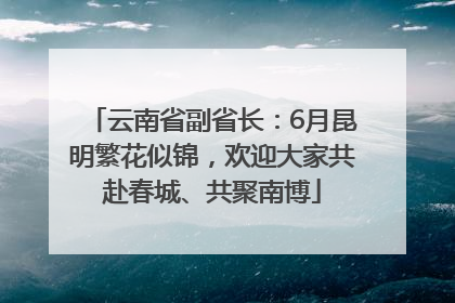 云南省副省长：6月昆明繁花似锦，欢迎大家共赴春城、共聚南博