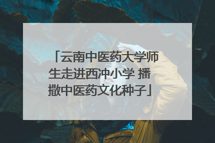 云南中医药大学师生走进西冲小学 播撒中医药文化种子