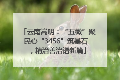 云南嵩明：“五微”聚民心“3456”筑基石，精治善治谱新篇