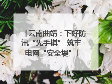 云南曲靖：下好防汛“先手棋” 筑牢电网“安全堤”