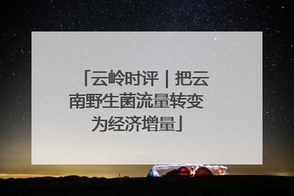 云岭时评｜把云南野生菌流量转变为经济增量