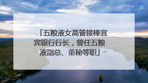 五粮液女高管接棒宜宾银行行长，曾任五粮液副总、董秘等职