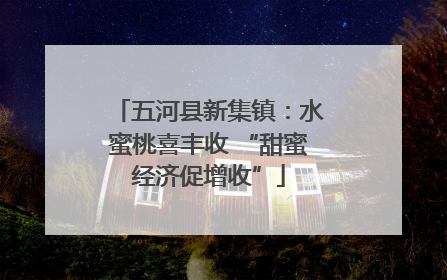 五河县新集镇：水蜜桃喜丰收 “甜蜜经济促增收”