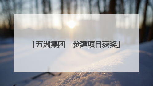 五洲集团一参建项目获奖