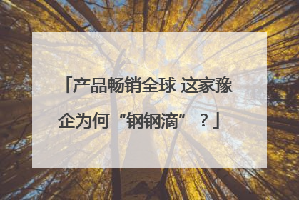 产品畅销全球 这家豫企为何“钢钢滴”？