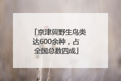 京津冀野生鸟类达600余种，占全国总数四成