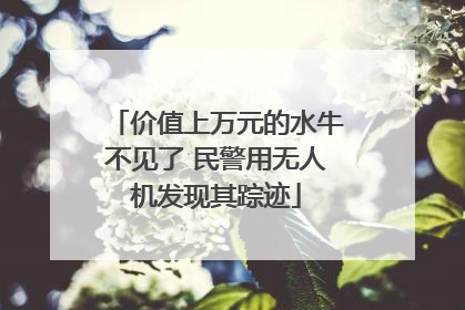 价值上万元的水牛不见了 民警用无人机发现其踪迹