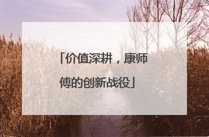 价值深耕，康师傅的创新战役