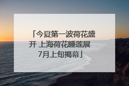 今夏第一波荷花盛开 上海荷花睡莲展7月上旬揭幕