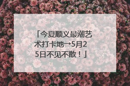 今夏顺义最潮艺术打卡地→5月25日不见不散！