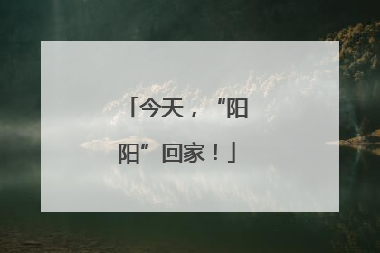 今天，“阳阳”回家！