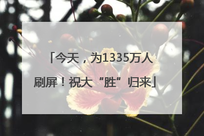 今天，为1335万人刷屏！祝大“胜”归来