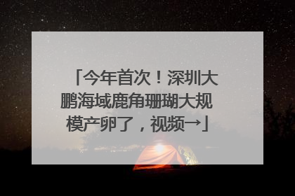 今年首次！深圳大鹏海域鹿角珊瑚大规模产卵了，视频→