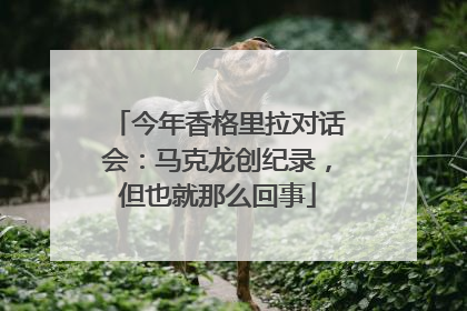 今年香格里拉对话会：马克龙创纪录，但也就那么回事