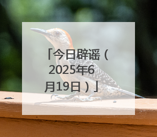 今日辟谣（2025年6月19日）