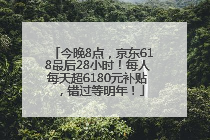 今晚8点，京东618最后28小时！每人每天超6180元补贴，错过等明年！