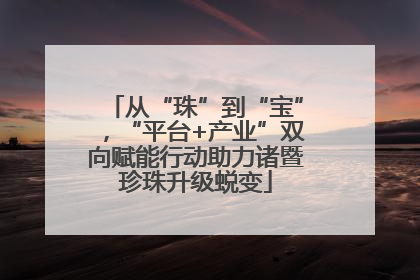 从“珠”到“宝”，“平台+产业”双向赋能行动助力诸暨珍珠升级蜕变