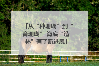 从“种珊瑚”到“育珊瑚” 海底“造林”有了新进展