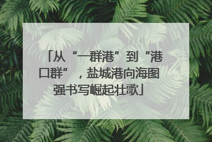 从“一群港”到“港口群”，盐城港向海图强书写崛起壮歌