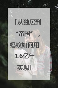 从独居到“帝国”，蚂蚁如何用1.6亿年实现
