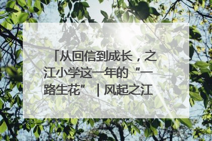 从回信到成长，之江小学这一年的“一路生花”｜风起之江 扶摇直上