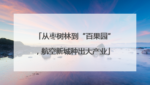 从枣树林到“百果园”，航空新城种出大产业