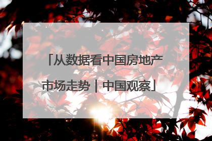 从数据看中国房地产市场走势｜中国观察