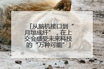 从脑机接口到“月壤成纤”，在上交会感受未来科技的“万种可能”