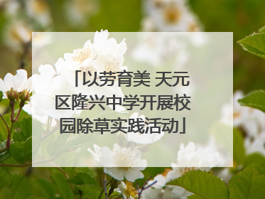 以劳育美 天元区隆兴中学开展校园除草实践活动