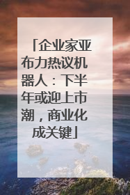 企业家亚布力热议机器人：下半年或迎上市潮，商业化成关键
