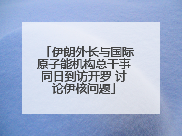 伊朗外长与国际原子能机构总干事同日到访开罗 讨论伊核问题