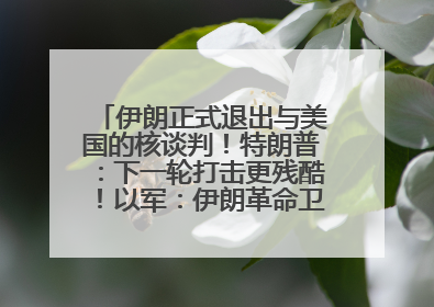 伊朗正式退出与美国的核谈判！特朗普：下一轮打击更残酷！以军：伊朗革命卫队空军高层指挥系统已被击垮