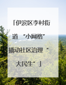 伊滨区李村街道 “小网格”撬动社区治理“大民生”