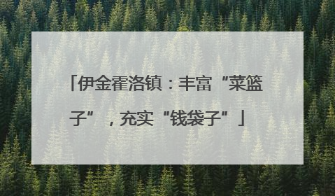 伊金霍洛镇：丰富“菜篮子”，充实“钱袋子”