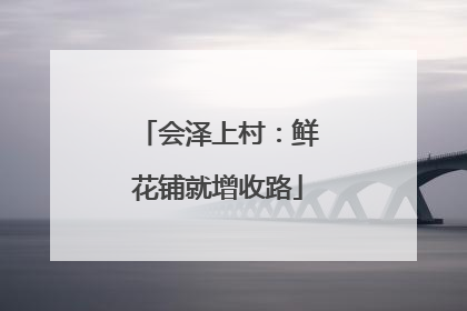 会泽上村：鲜花铺就增收路