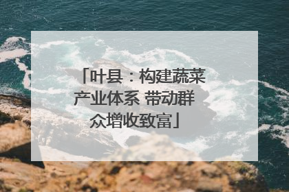 叶县：构建蔬菜产业体系 带动群众增收致富
