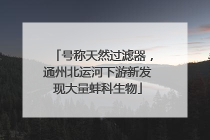 号称天然过滤器，通州北运河下游新发现大量蚌科生物