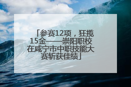 参赛12项，狂揽15金——崇阳职校在咸宁市中职技能大赛斩获佳绩
