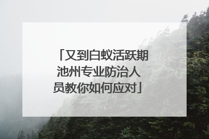 又到白蚁活跃期 池州专业防治人员教你如何应对