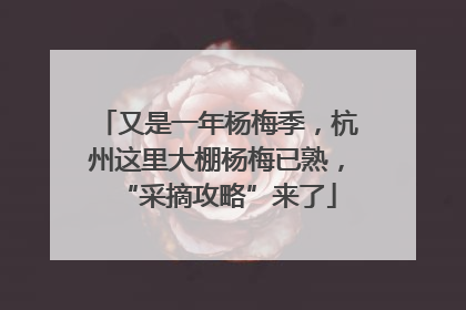 又是一年杨梅季，杭州这里大棚杨梅已熟，“采摘攻略”来了