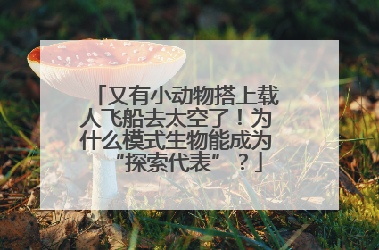 又有小动物搭上载人飞船去太空了！为什么模式生物能成为“探索代表”？
