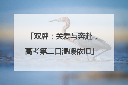 双牌：关爱与奔赴，高考第二日温暖依旧